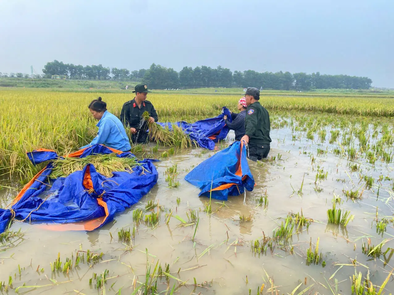 Đài PTTH Hà Nội